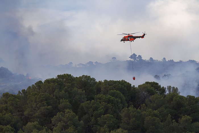 An app to assess wildfire risk to homes